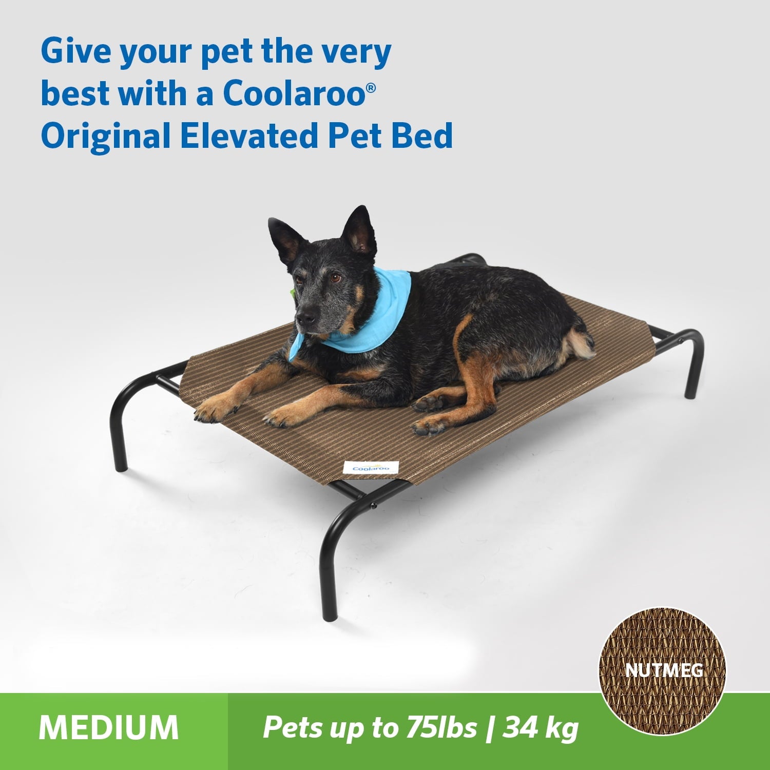 Elevated pet bed used outdoors on a patio, hoses clean easily